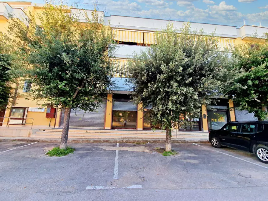 Immagine 6 di Negozio in vendita  in via Martino Luigi Cairoli, N. snc a San Pietro In Lama