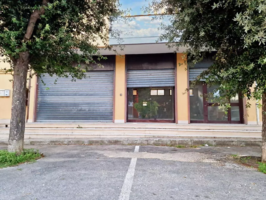 Immagine 7 di Negozio in vendita  in via Martino Luigi Cairoli, N. snc a San Pietro In Lama