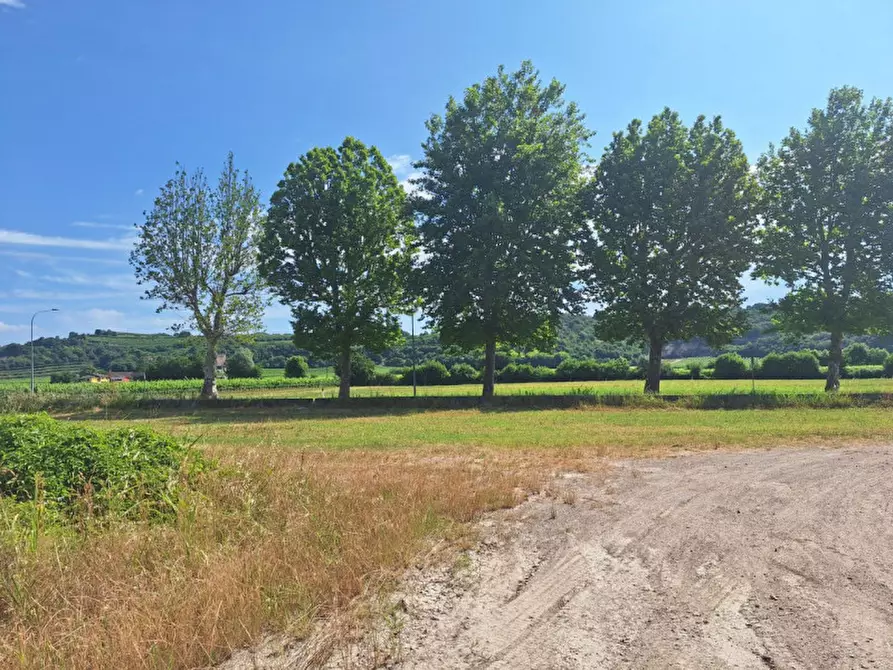 Immagine 2 di Capannone industriale in vendita  in Via G. Matteotti, 36048 Barbarano Mossano VI, Italia a Barbarano Mossano