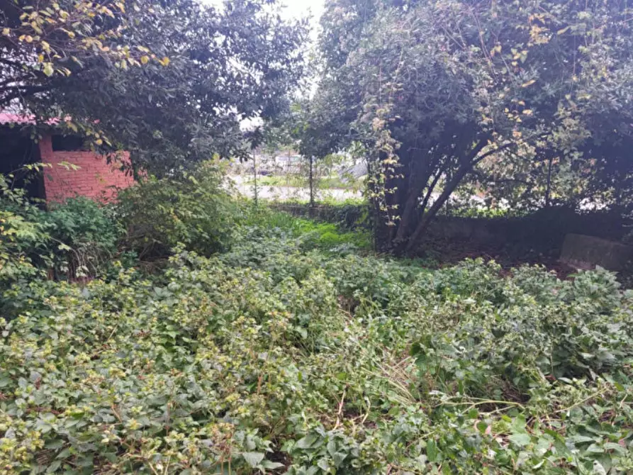 Immagine 11 di Negozio in vendita  in Via Marittima, N. 365 a Frosinone