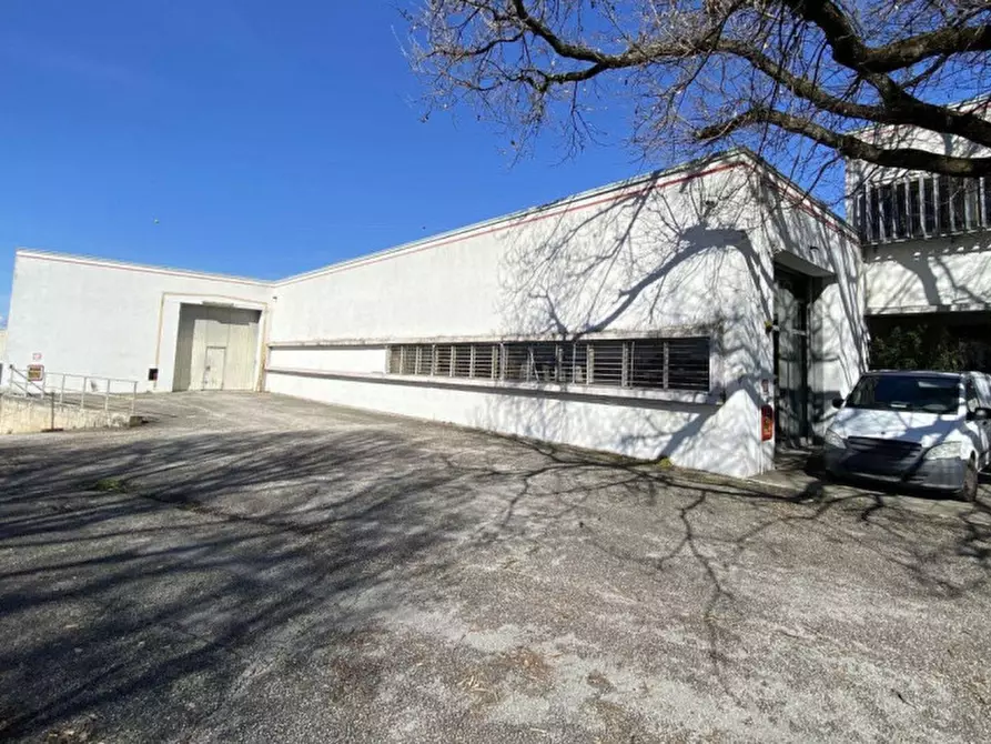 Immagine 9 di Capannone industriale in vendita  in Via Flaminia, N. Snc a Foligno
