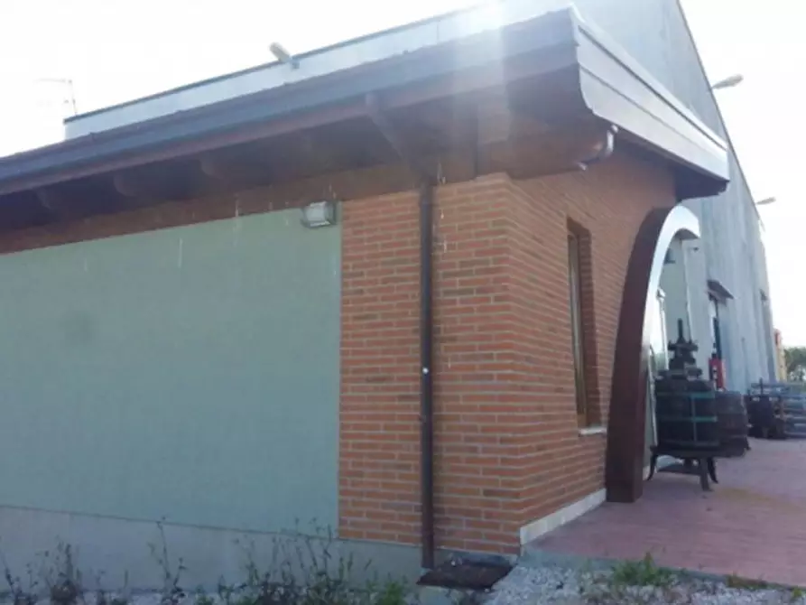 Immagine 4 di Capannone industriale in vendita  in Via Piangallo, N. 33/A a Corropoli