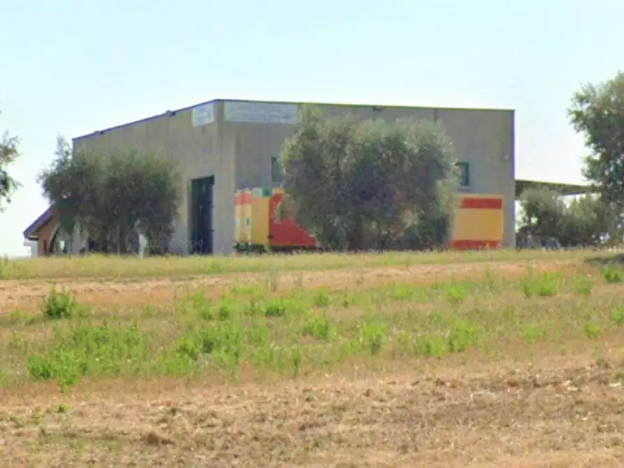 Immagine 5 di Capannone industriale in vendita  in Via Piangallo, N. 33/A a Corropoli