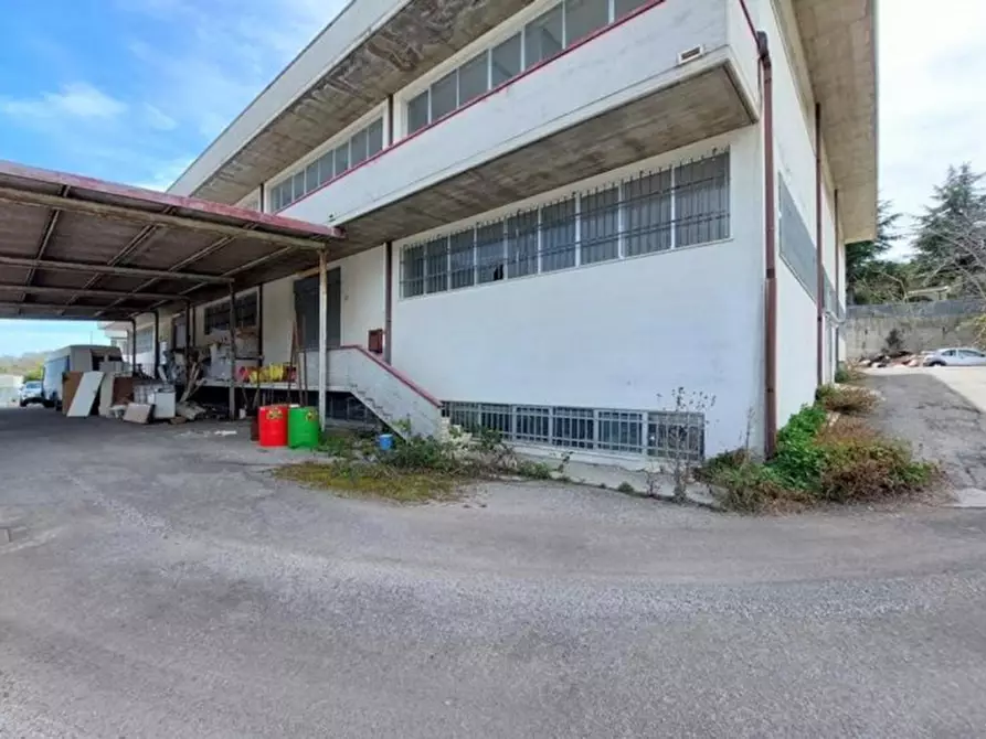 Immagine 9 di Capannone industriale in vendita  in Via Enrico Fermi, N. 8-10 a Acquaviva Picena