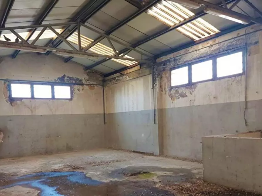 Immagine 12 di Capannone industriale in vendita  in Via Mazara, N. 56 a Marsala