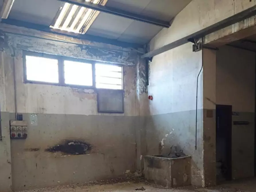 Immagine 14 di Capannone industriale in vendita  in Via Mazara, N. 56 a Marsala