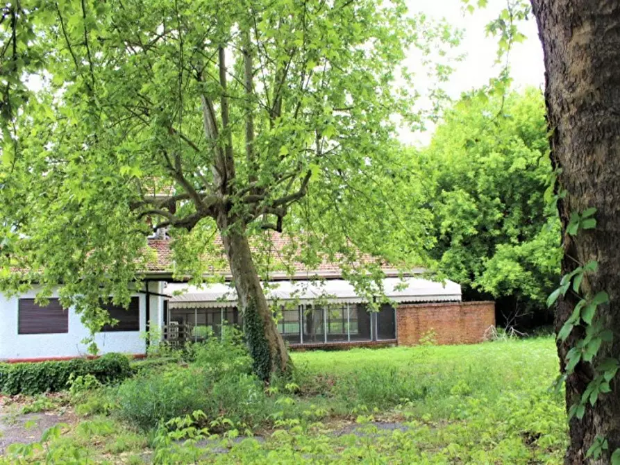 Immagine 5 di Attività commerciale in vendita  in Via Regione Ponte Ticino, N. 3 a Galliate