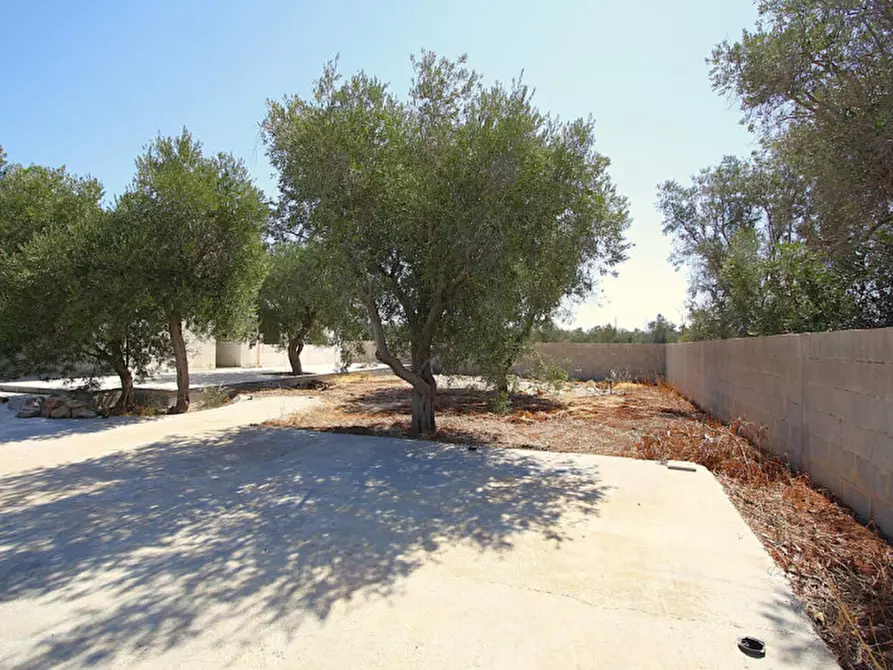Immagine 25 di Villa in vendita  in SP-91 a Ugento