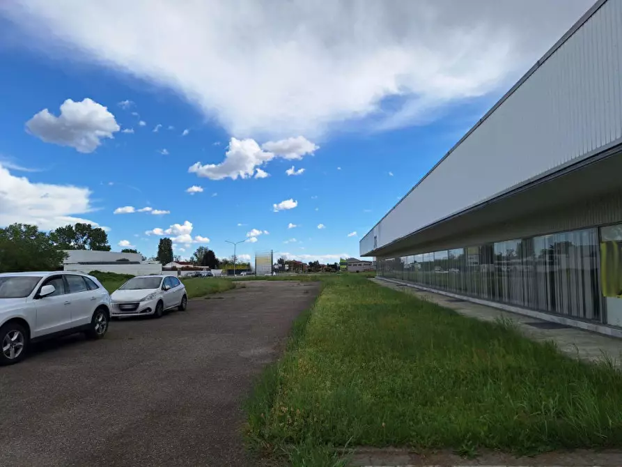 Immagine 3 di Negozio in vendita  in Strada Provinciale, N. 229 a Caltignaga