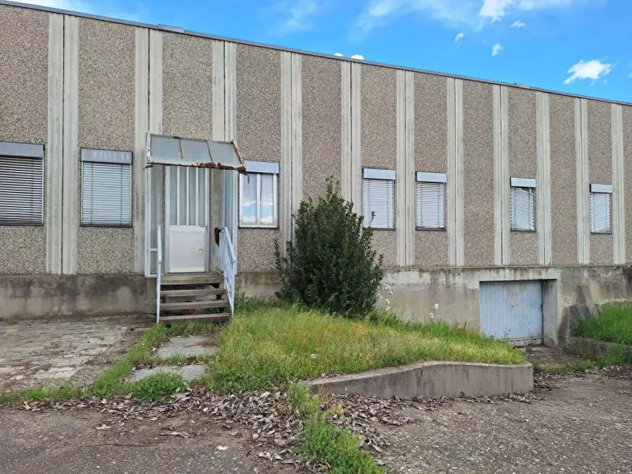 Immagine 29 di Negozio in vendita  in Strada Provinciale, N. 229 a Caltignaga