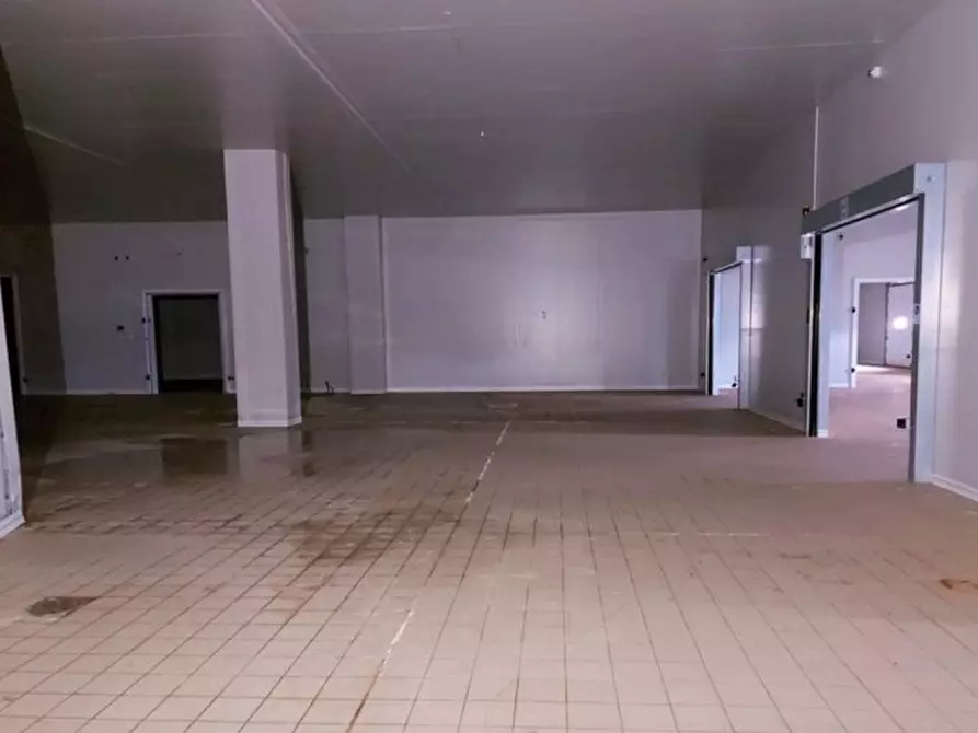 Immagine 6 di Capannone industriale in vendita  in Zona Industriale-Strada C10, N. snc a Villacidro