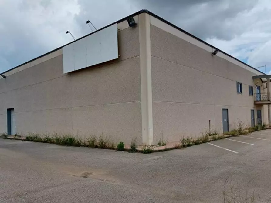 Immagine 14 di Capannone industriale in vendita  in Zona Industriale-Strada C10, N. snc a Villacidro