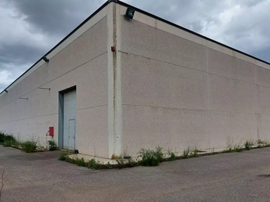 Immagine 20 di Capannone industriale in vendita  in Zona Industriale-Strada C10, N. snc a Villacidro