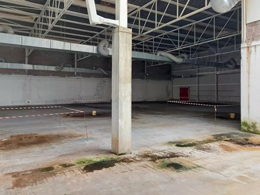 Immagine 12 di Attività commerciale in vendita  in Vai Olivo Bravin, N. 20 a Concordia Sagittaria