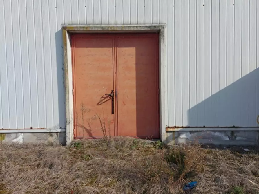 Immagine 16 di Attività commerciale in vendita  in Vai Olivo Bravin, N. 20 a Concordia Sagittaria