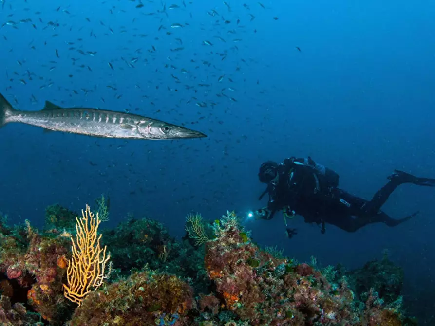 Immagine 18 di Appartamento in vendita  in Via del Littorale, N. 164 a Livorno