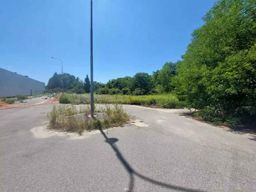 Immagine 12 di Terreno in vendita  in Zona produttiva a Fontaneto D'agogna