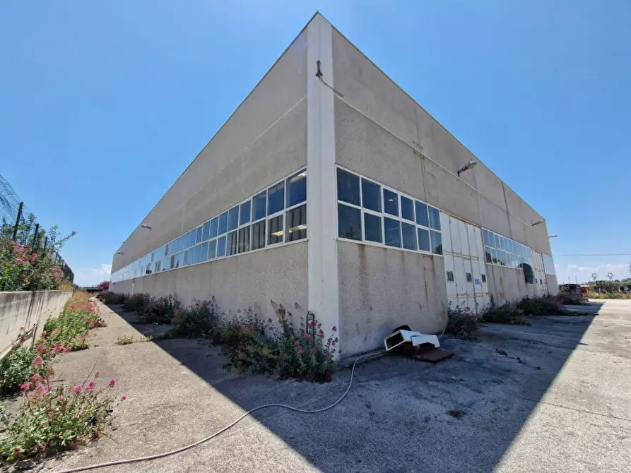 Immagine 2 di Capannone industriale in vendita  in Contrada Macchia, N. snc a Monte Sant'angelo