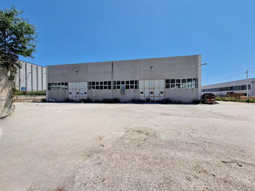 Immagine 3 di Capannone industriale in vendita  in Contrada Macchia, N. snc a Monte Sant'angelo