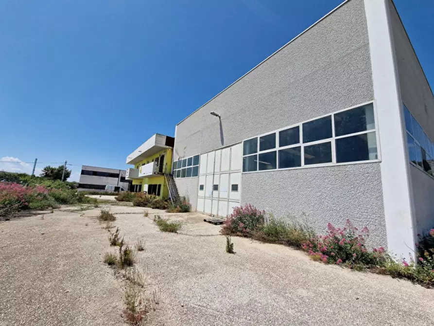 Immagine 4 di Capannone industriale in vendita  in Contrada Macchia, N. snc a Monte Sant'angelo