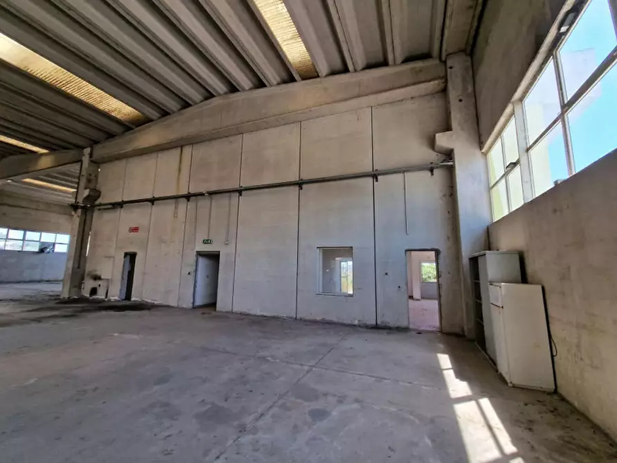 Immagine 8 di Capannone industriale in vendita  in Contrada Macchia, N. snc a Monte Sant'angelo
