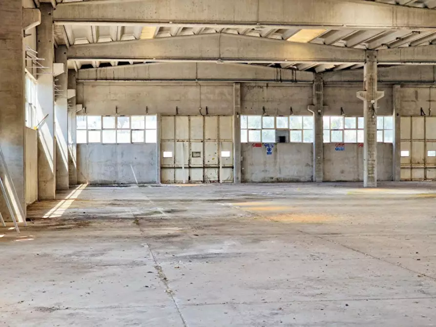Immagine 10 di Capannone industriale in vendita  in Contrada Macchia, N. snc a Monte Sant'angelo