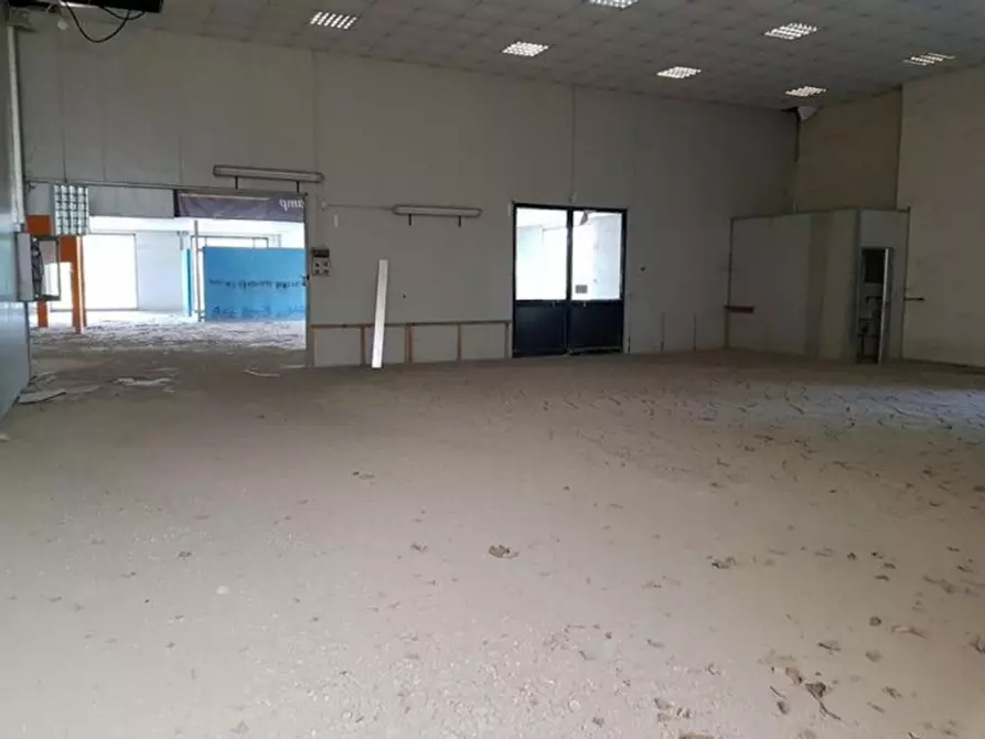 Immagine 4 di Capannone industriale in vendita  in Via Gustavo Foppiani, N. 3 a Piacenza