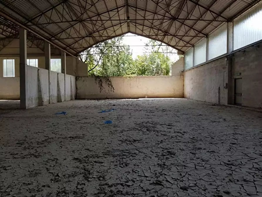 Immagine 5 di Capannone industriale in vendita  in Via Gustavo Foppiani, N. 3 a Piacenza