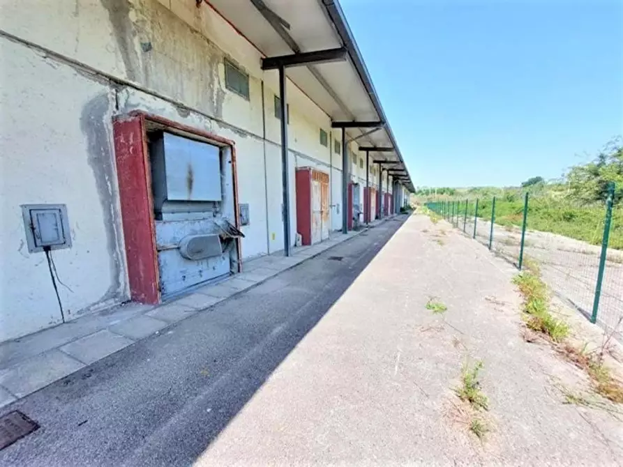 Immagine 4 di Capannone industriale in vendita  in Contrada Serre, N. 77 a Lanciano