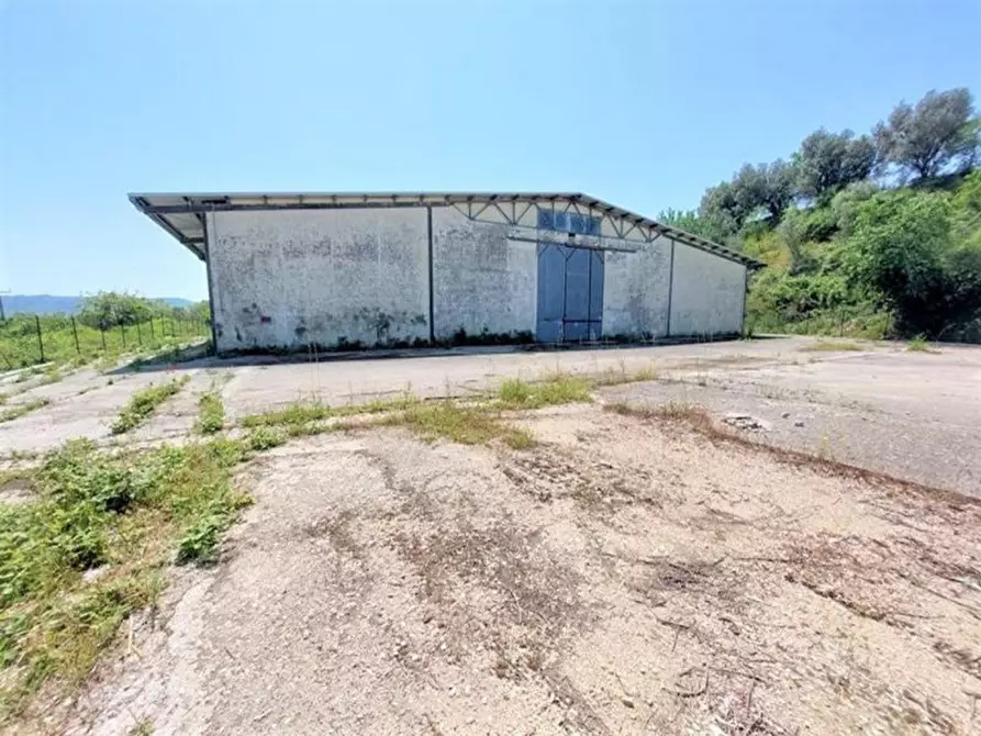 Immagine 7 di Capannone industriale in vendita  in Contrada Serre, N. 77 a Lanciano