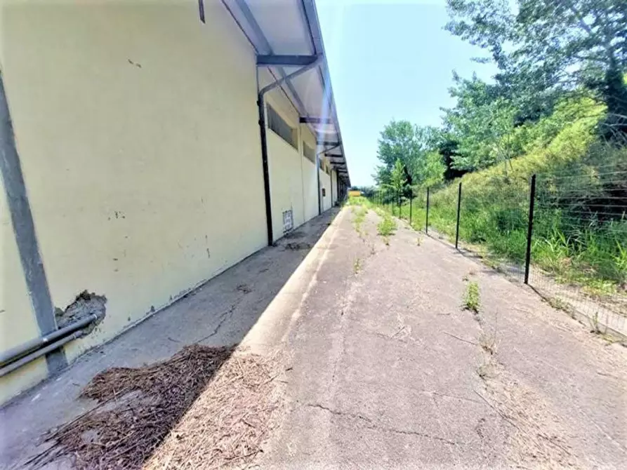 Immagine 8 di Capannone industriale in vendita  in Contrada Serre, N. 77 a Lanciano