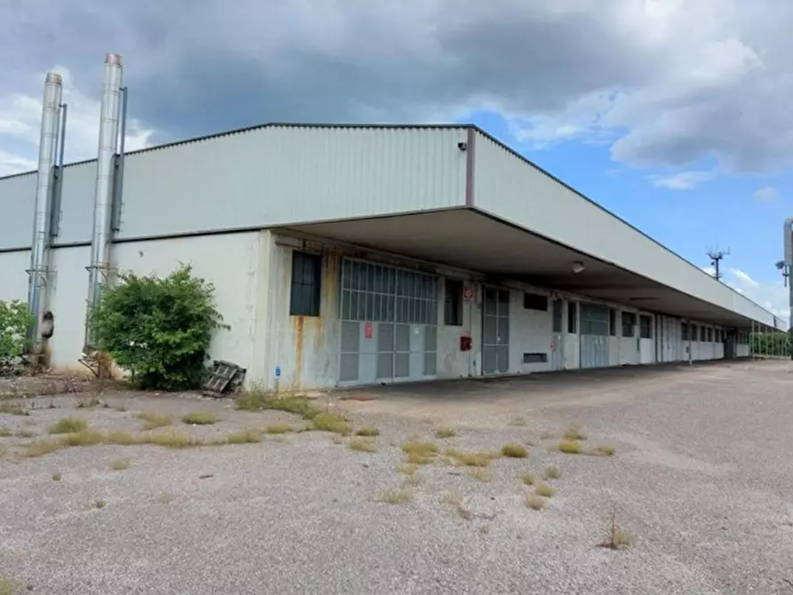 Immagine 3 di Capannone industriale in vendita  in Via Salvatoizza, N. 5-7-9 a Gaiarine