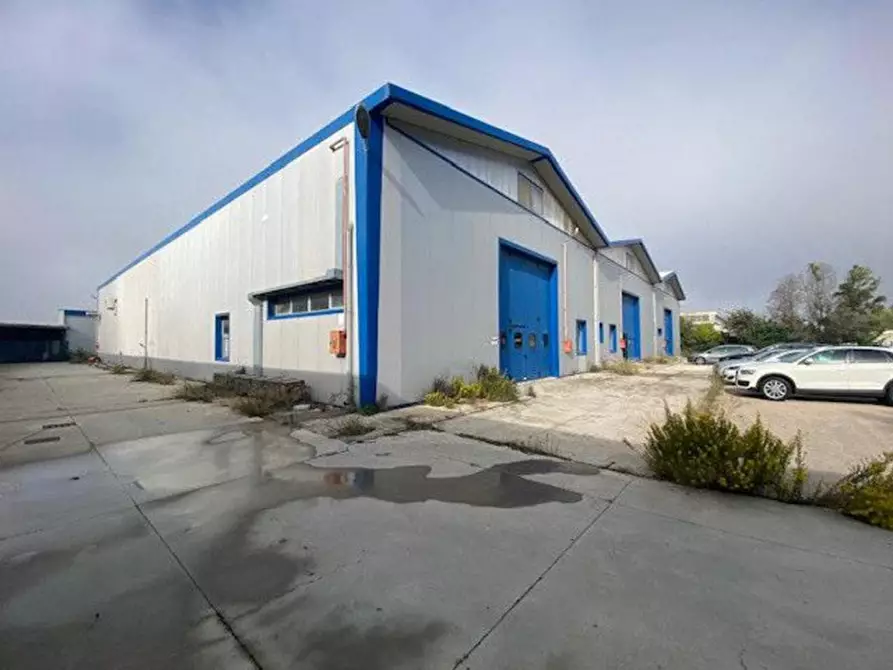 Immagine 2 di Capannone industriale in vendita  in Via O. M. Corbino, N. snc a Brindisi