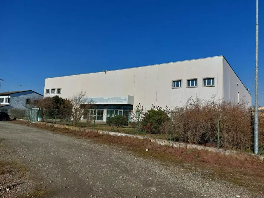 Immagine 1 di Capannone industriale in vendita  in Via per Robbio, N. 31 a Palestro