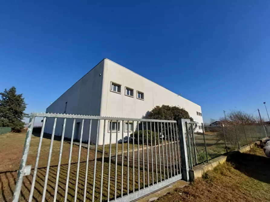 Immagine 3 di Capannone industriale in vendita  in Via per Robbio, N. 31 a Palestro