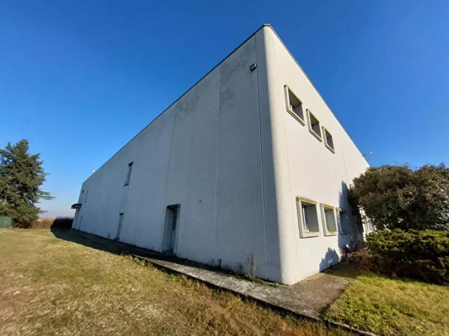 Immagine 4 di Capannone industriale in vendita  in Via per Robbio, N. 31 a Palestro