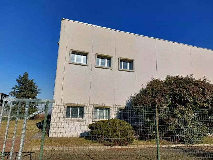 Immagine 5 di Capannone industriale in vendita  in Via per Robbio, N. 31 a Palestro