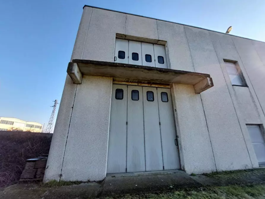 Immagine 7 di Capannone industriale in vendita  in Via per Robbio, N. 31 a Palestro