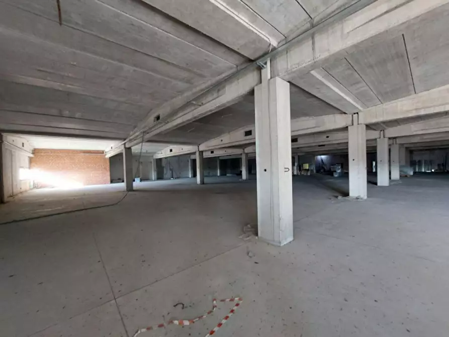 Immagine 8 di Capannone industriale in vendita  in Via per Robbio, N. 31 a Palestro