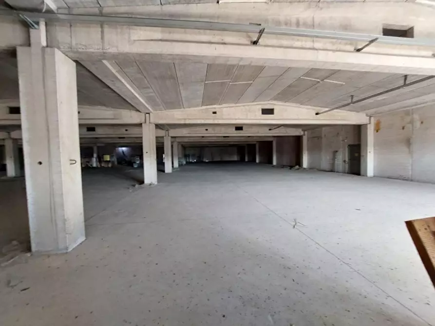 Immagine 15 di Capannone industriale in vendita  in Via per Robbio, N. 31 a Palestro