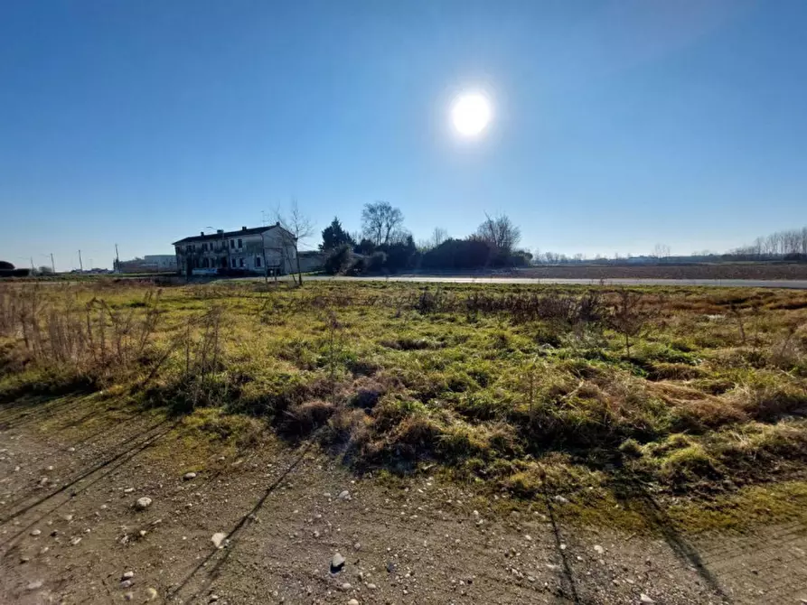 Immagine 30 di Capannone industriale in vendita  in Via per Robbio, N. 31 a Palestro