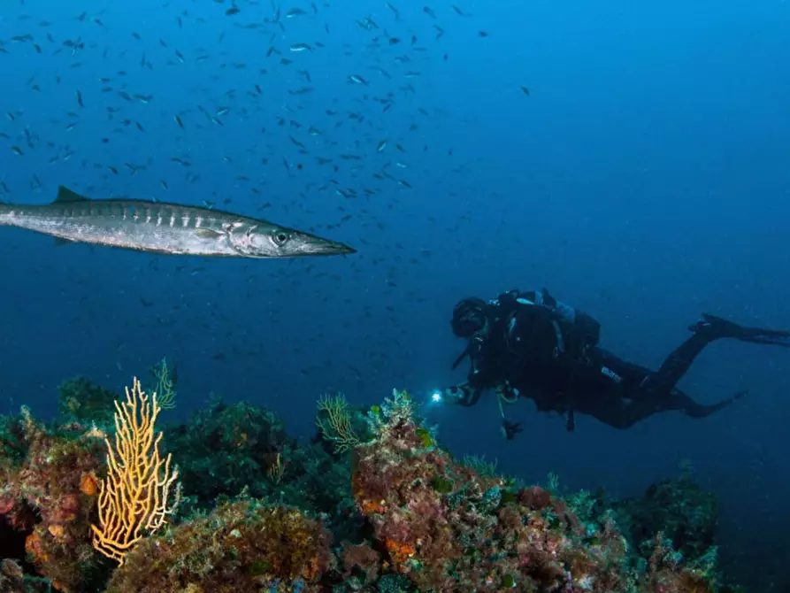 Immagine 18 di Appartamento in vendita  in Via del Littorale, N. 164 a Livorno