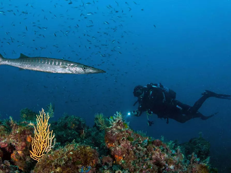 Immagine 18 di Attico in vendita  in Via del Littorale, N. 164 a Livorno