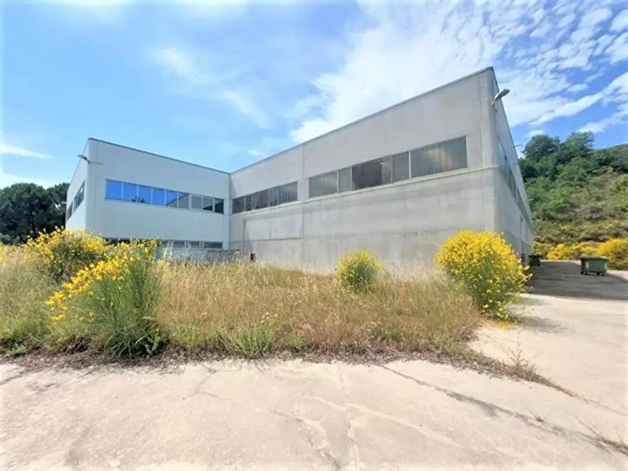 Immagine 4 di Capannone industriale in vendita  in Via Arenella, N. 1 a Giuliano Teatino