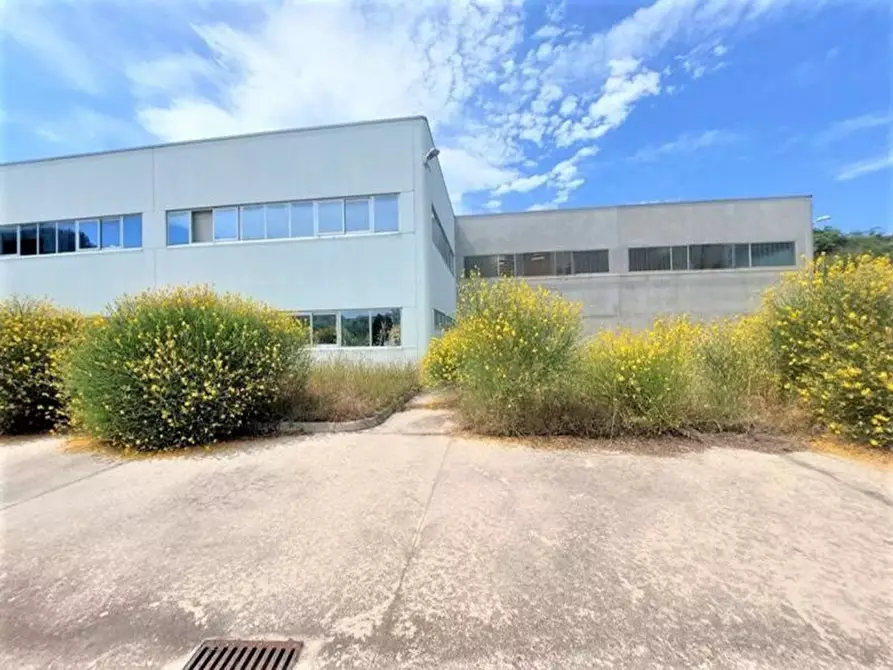 Immagine 5 di Capannone industriale in vendita  in Via Arenella, N. 1 a Giuliano Teatino