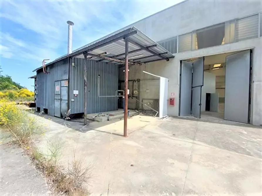 Immagine 6 di Capannone industriale in vendita  in Via Arenella, N. 1 a Giuliano Teatino
