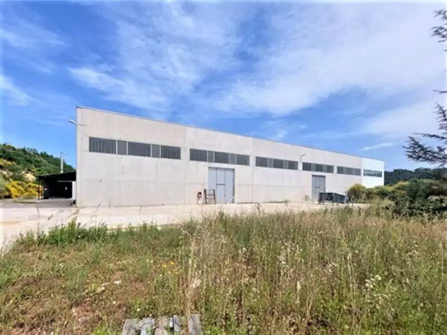 Immagine 7 di Capannone industriale in vendita  in Via Arenella, N. 1 a Giuliano Teatino