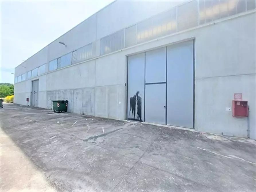 Immagine 8 di Capannone industriale in vendita  in Via Arenella, N. 1 a Giuliano Teatino