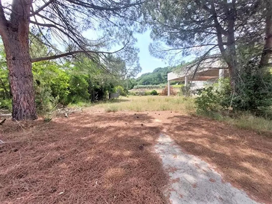 Immagine 9 di Capannone industriale in vendita  in Via Arenella, N. 1 a Giuliano Teatino