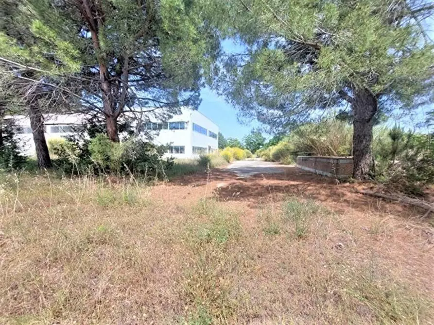 Immagine 10 di Capannone industriale in vendita  in Via Arenella, N. 1 a Giuliano Teatino